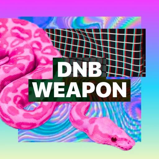 DnB Weapon sound pack cover